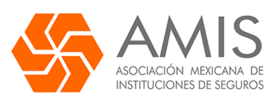 LOGO-AMIS